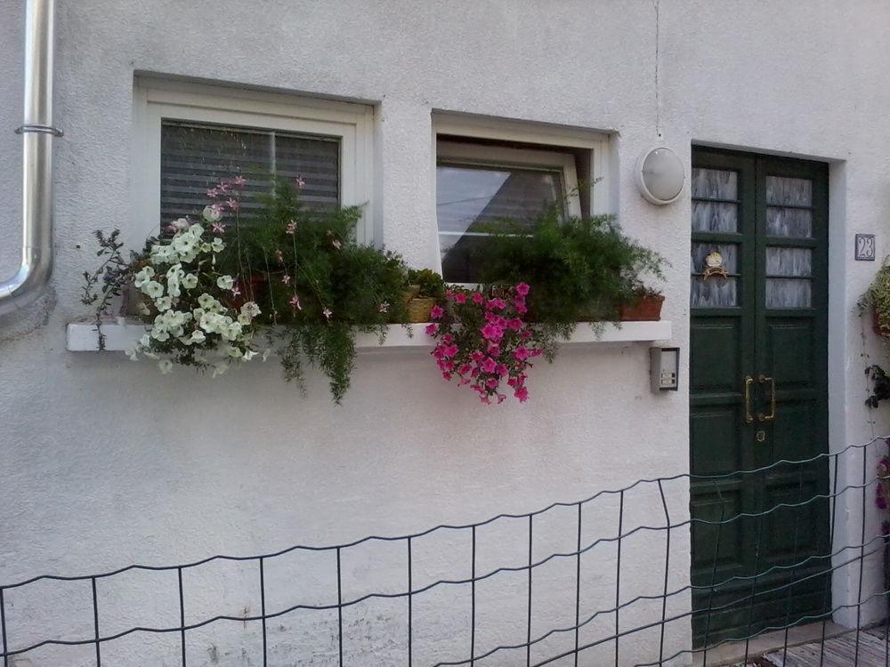 B&B Cappuccini สคิโอ ภายนอก รูปภาพ